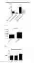 Fig. 06 - Method for producing a fibrin-based bioartificial, primarily acellular construct, and the construct itself