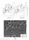 Fig. 03 - Article with foamed surface, implant and method of producing the same