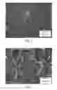 Fig. 05 - Article with foamed surface, implant and method of producing the same