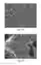 Fig. 07 - Article with foamed surface, implant and method of producing the same