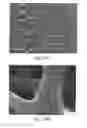 Fig. 08 - Article with foamed surface, implant and method of producing the same