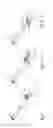Fig. 05 - Syringe and method for assembling it