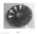 Fig. 07 - DEVICE AND METHOD FOR ENCAPSULATING A NEEDLE WITH A CORRESPONDING PLASTIC NEEDLE CAP