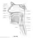 Fig. 06 - Patient interface with volume reducing member