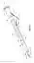 Fig. 09 - NEEDLE ASSEMBLIES WITH SAFETY SYSTEMS AND MANUFACTURING METHOD THEREFOR