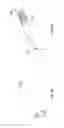 Fig. 08 - Mechanically actuated and functionally integratable catheter system for treating vascular and non-vascular diseases and related methods