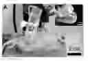 Fig. 01 - Nanosecond pulsed electric fields cause melanomas to self-destruct
