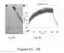 Fig. 09 - Nanosecond pulsed electric fields cause melanomas to self-destruct