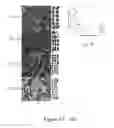 Fig. 10 - Nanosecond pulsed electric fields cause melanomas to self-destruct