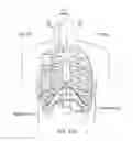 Fig. 22 - Obstructive sleep apnea treatment devices, systems and methods