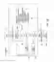 Fig. 25 - Obstructive sleep apnea treatment devices, systems and methods
