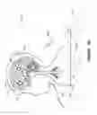 Fig. 03 - System and apparatus for increasing regularity and/or phase-locking of neuronal activity relating to an epileptic event