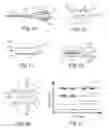Fig. 02 - Endoscopic sympathectomy systems and methods