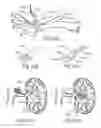 Fig. 10 - Endoscopic sympathectomy systems and methods