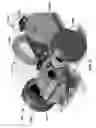 Fig. 03 - Mechanized tail for mobile devices