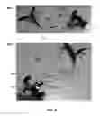 Fig. 08 - Mechanized tail for mobile devices