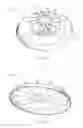 Fig. 02 - Recreational Disk with Blade Members