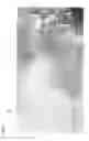 Fig. 05 - Graphite group, carbon particles containing said graphite group