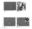 Fig. 02 - Method for the encapsulation of substances in silica-based capsules and the products obtained thereof