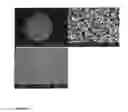 Fig. 04 - Extruded titania-based material comprising mesopores and macropores