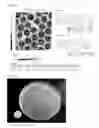 Fig. 07 - Coating method using particle alignment and particle coated substrate manufactured thereby
