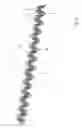 Fig. 06 - Corrugated fin element