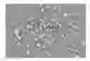 Fig. 01 - Preparation Method for the Nano-silver Particles