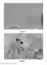Fig. 04 - Preparation Method for the Nano-silver Particles
