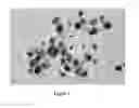 Fig. 05 - Preparation Method for the Nano-silver Particles