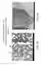 Fig. 19 - METHODS OF PREPARING ALLOYS HAVING TAILORED CRYSTALLINE STRUCTURES, AND PRODUCTS RELATING TO THE SAME