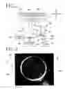 Fig. 03 - Method of detecting clogging of chuck table and processing apparatus