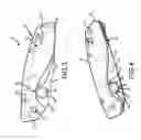 Fig. 03 - MULTI-FUNCTION STOP MECHANISM FOR FOLDING KNIFE