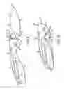 Fig. 06 - MULTI-FUNCTION STOP MECHANISM FOR FOLDING KNIFE