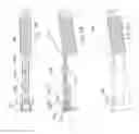 Fig. 06 - CUTTING IMPLEMENT FOR HAMMER TACKER
