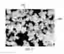 Fig. 06 - Polymer powder and method of using the same