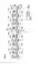 Fig. 05 - Liquid ejection apparatus