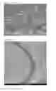 Fig. 03 - Heat-sensitive recording material having intermediate layer that contains hollow particles