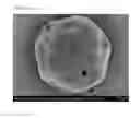 Fig. 04 - Heat-sensitive recording material having intermediate layer that contains hollow particles