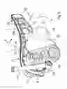 Fig. 05 - Longitudinal control arm device of a drivable semi-independent suspension