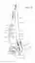 Fig. 16 - Vehicle seat frame