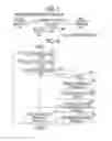 Fig. 04 - Controller for actuator and steering device