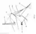 Fig. 19 - Watercraft immobilizing apparatus and system