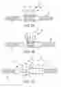 Fig. 05 - Shock absorbing evacuation system restraint