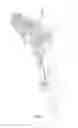 Fig. 02 - Release mechanism
