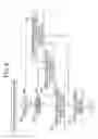 Fig. 06 - Elevator apparatus