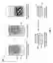 Fig. 02 - Carbon nanotube foams with controllable architecture and methods