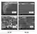 Fig. 06 - Carbon nanotube foams with controllable architecture and methods