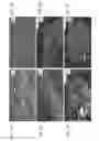Fig. 04 - Large scale production of oxidized graphene
