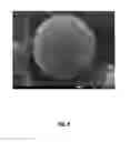 Fig. 05 - Yolk-shell-structured material, anode material, anode, battery, and method of forming same