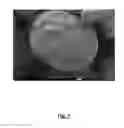 Fig. 06 - Yolk-shell-structured material, anode material, anode, battery, and method of forming same